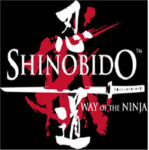 Black Viper Ninja Academy