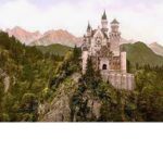 The castle of pugs