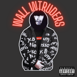 Wall Intruders