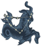 ~capricorn clothing~