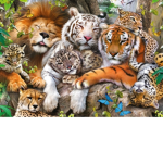 Kittens alway