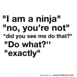 Awesome-Sauce-Ninja-Master-Peoples