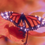 Autumn Butterflies
