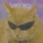 vibey bros