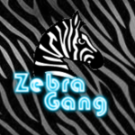 Zebra Gang Official