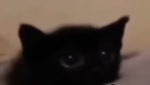 Mystery. Co