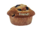 MuffinFriend