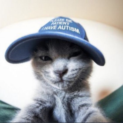 Blue Cap Cat Sky