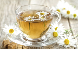 Hunter Tea Party