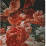florentia ୨୧