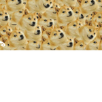 !!!! DOGE UNITE !!!!