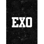 EXOnoodleGuardian
