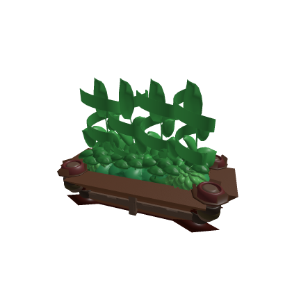 Plant