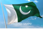 religion of grape