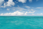 ~OceanWater~