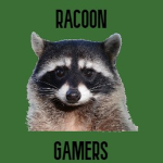 Mr. Raccoon Gamers
