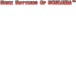 Brick Battlers Of ROBLOXIA™