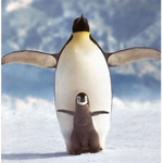 Save the penguin they are runing out ice