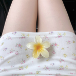 (๑･ᴗ･๑)