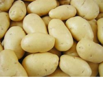 FAMÍLIA B4TATA