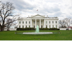 White House of Anything