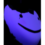 ZZom