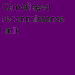 [RAF] Camouflaged Reconnaissance Unit