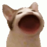 pop cat (and doge) army