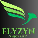 FlyZyn