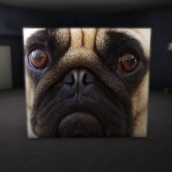 Survive Pug in Area 51