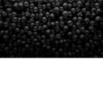 The Skull Crew_