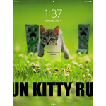 Yeet the meow