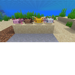 New Axolotl City