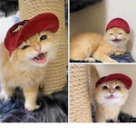 着る
