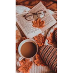 Autumn Vibes :)
