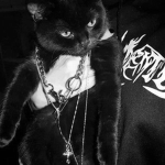 Sinful's Clothing group