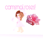 camsmol roses!
