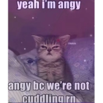 Maddisen