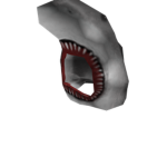 Shark Situation