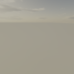 Desert Ruins