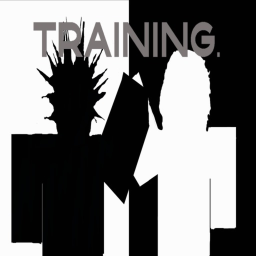 Training: Sky Collective