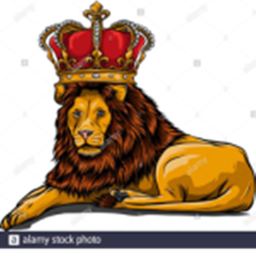 Lion obby