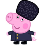 Comie pig