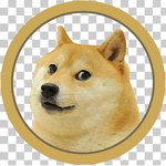 Doge Coin's