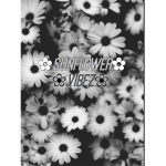 •Sunflower Vibez•