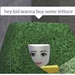 Blurryy YT fan group!