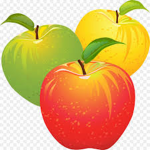 Apple’s Clothing Group