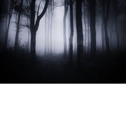Monophobia