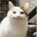 im make ouffit
