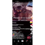 Themeganplaysfan